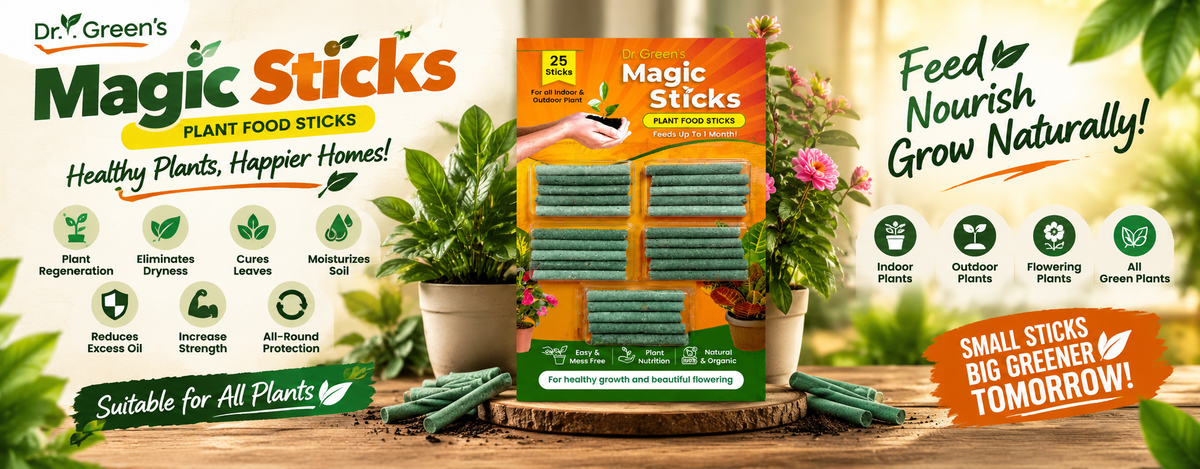 Promotional banner